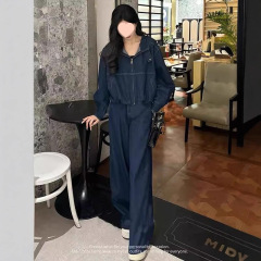 2025复古深蓝休闲牛仔套装女春夏新款时尚百搭显瘦同色系两件套潮