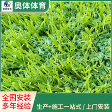 bƺƺ 10mmݷƤƺԴ^S