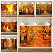 ּt~b¿Q羳zӰMӰĔz