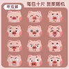 Hum Ha Pig-Alien Warm Post