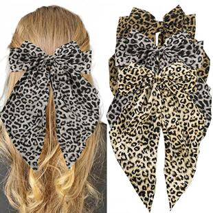 2024�¿�ӡ�����y�����Y���ɊA�r�аl�A�͹Űl羳���u�^����l