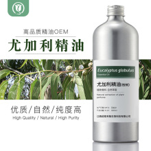 尤加利精油 桉树精油 桉叶蓝桉身体精油 单方精油批发按摩身体
