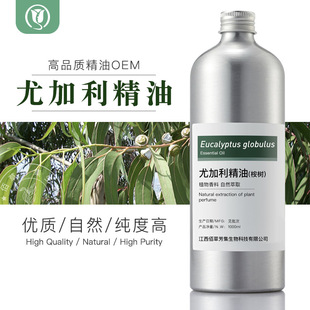 �ȼ������� ��侫�� ���~�{�����w���� �η��������l��Ħ���w