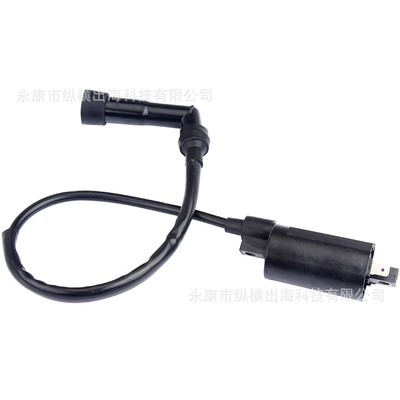 Ignition Coil 21121-0029, Alovlanma bobini (Babinalar)