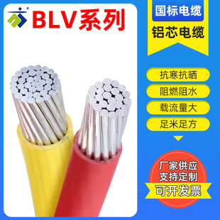 BLV�X���X�ܾ�10/16/25/35/50/70/95/120/150/185/240/300ƽ��