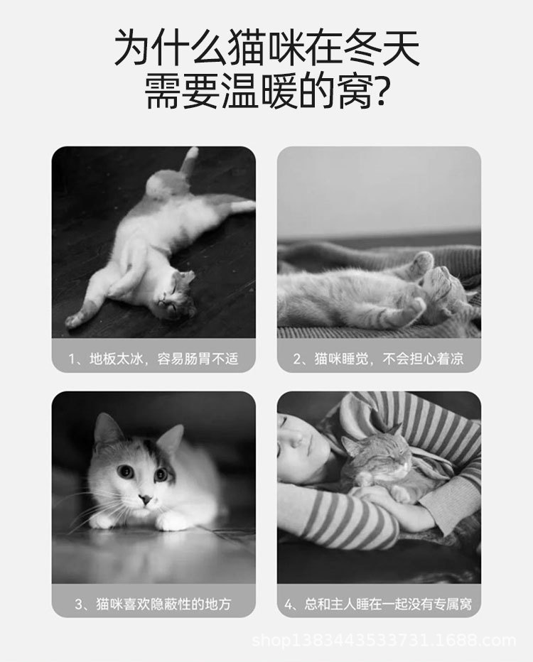 1_02.jpg