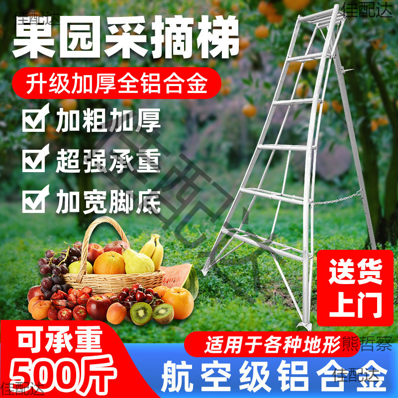 铝合金果园梯子园艺三脚梯农用果树采摘梯修剪梯凳园林专用三角梯