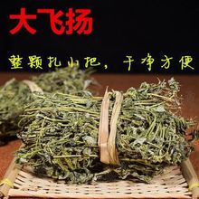 ���xҰ���Ĵ��w�P���Ѳ��w�P�ݴ���֭�ݹ����� �R���~��������؛