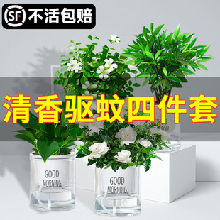 ˮ�����ֲ�ﱡ������ؾG�}������lؔ�仨�����҃���w�����Gֲ