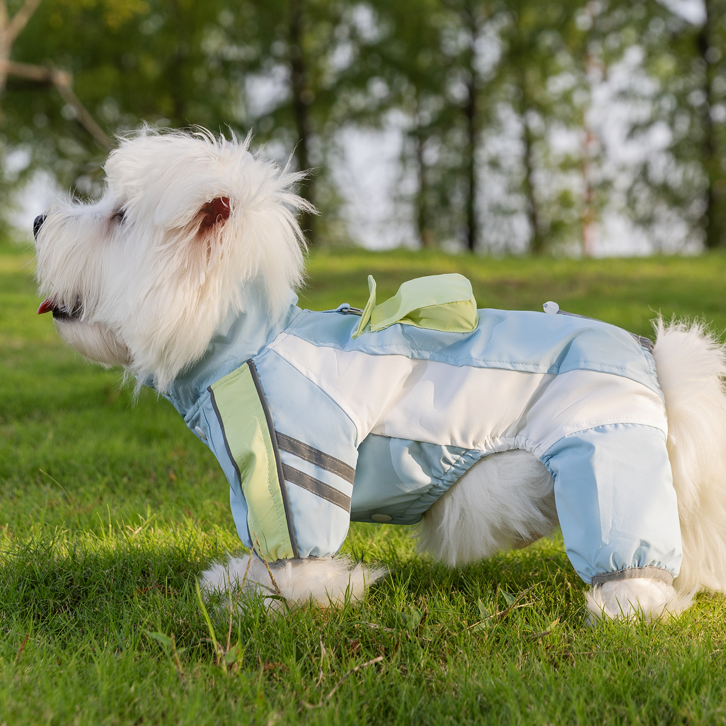 Otoño y invierno nuevo explorador tres cuatro patas de asalto abrigo de algodón caliente perros pequeños y medianos perros gatos que ropa de oso image 4