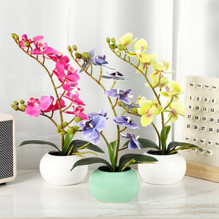 �羳�����m�մ�С���Կ͏d���Ҕ[�������k�����Ҿӷ��滨�b[��