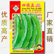 ���ⶹ�N�ѡ��lѿ�r�g�O�L&middot;�ձش�ѿ���ĽǶ� �����N�� �ʵ۶���