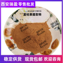 夏枯草提取物 水溶西安瑞盈夏枯草粉棕色专业提取1kg起量大议价
