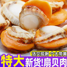 ��ؐ�����r�����̖���S�������ú��rˮ�a�tؐ���l