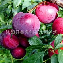 ӷNl]óԺ÷Nɿں׷NӷNӺóԺ÷N