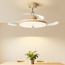 2025���¿�ԭľ�L�����L�ȟ����ϹϺ���ľ�y�[���L�ȟ���픟���