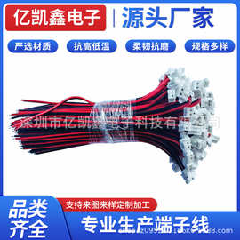 漆包线XH1.25间距2P单头电子线灯具红黑连接线材加工支持定 制