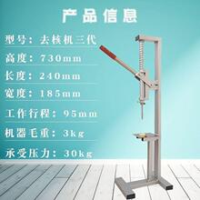 红枣去核器去枣核枣核t去核器红枣去核机红枣去核全厂家