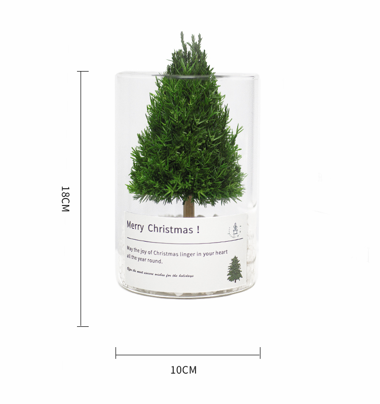 放青松情绪稳定办公室绿植室内客厅永生花盆栽摆件七夕情人节礼-阿里巴巴