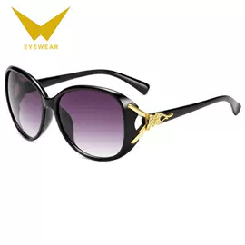 太阳镜;老花镜;儿童太阳镜