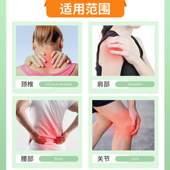 Snow Lotus Red Flower Neck Shoulder Waist Leg Plaster Manufacturer Wholesale Non-woven Plaster