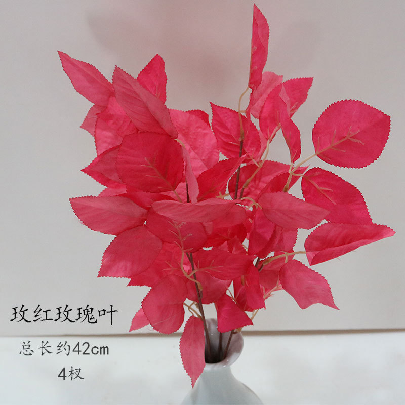 Rose hoja de rosa roja