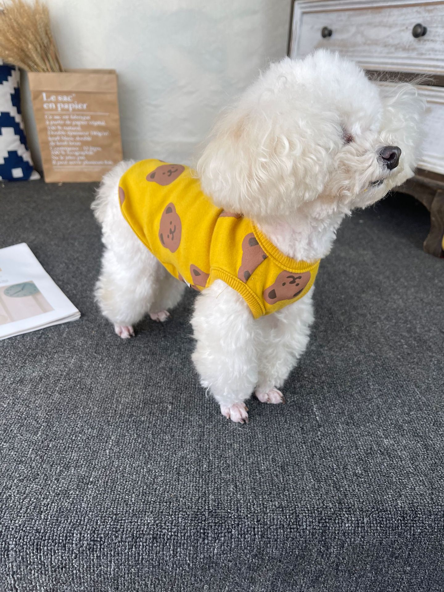 노란 곰 조끼
