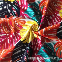 45޻ӡ Rayon޾I ᎧɳLBȹ