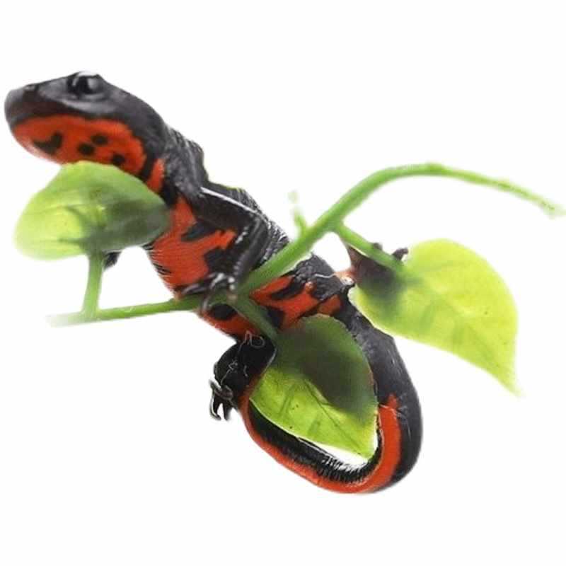 Fire Dragon Fish Freshwater Salamander Small Fish Tank Cleaning Small Fish Scavenger Cold Water Ornamental Fish Oriental Pet