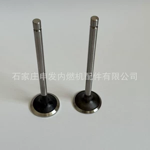 In stock: Cummins 6L intake valve 5307875, exhaust valve 4981795