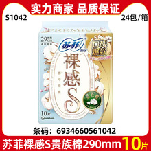 �K���l�������l���S�F���޿ڱ�����290mm10Ƭ����͸����Ů�̋���