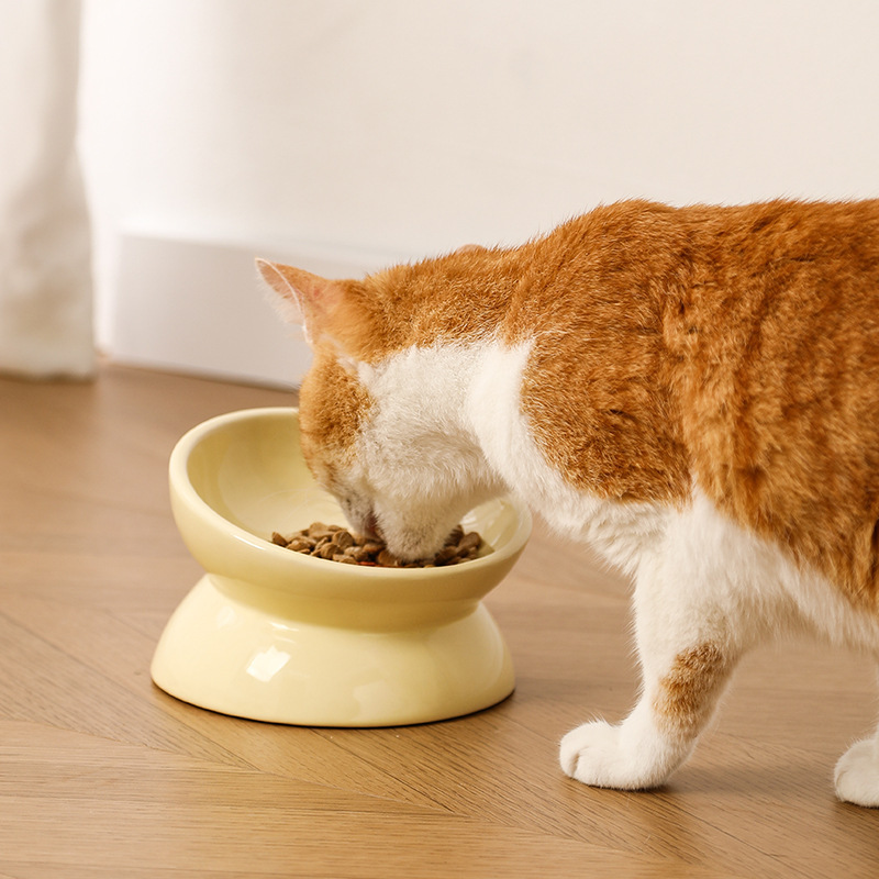 ペットボウル セラミック猫 グラデーション猫 かわいいフードボウル 猫水ボウル 犬背の高いボウル 猫丼 越境アマゾン|undefined