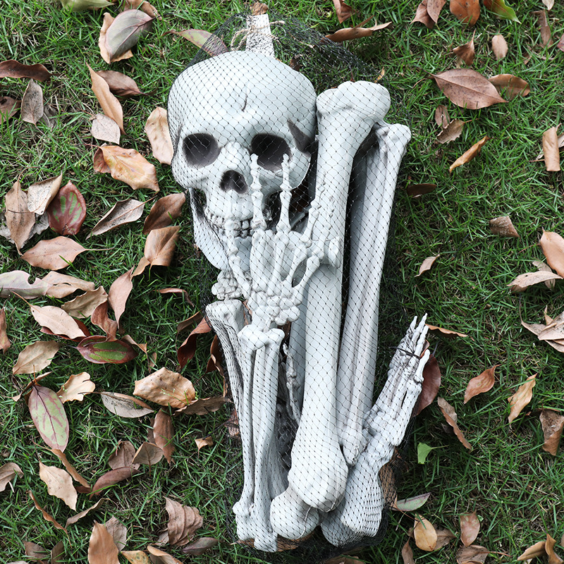 Conjunto de cinco piezas de calavera horror cráneo decoración bar habitación secreta accesorios de vestir