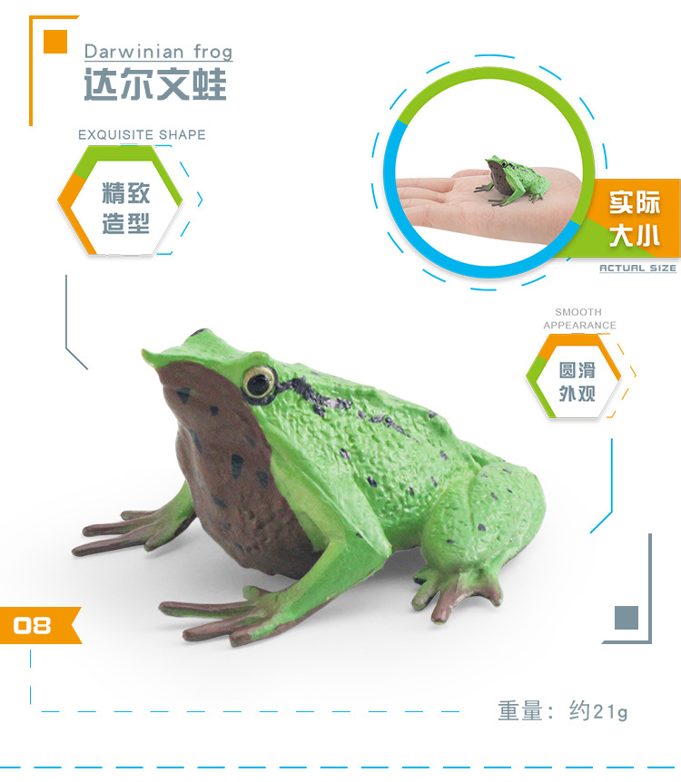 图层 6.jpg