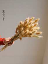 干花花束diy材料天然风干真花干枝侘寂风装饰永生花芦苇麦穗