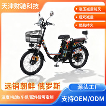 出口工厂22寸24寸朝鲜依兰公主雅驰 电动车 电瓶车电动自行车中东