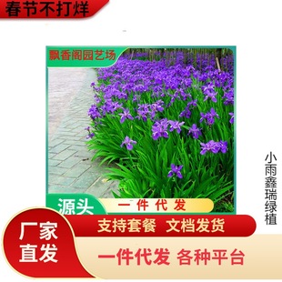 ͥԺ��·�G���ر�ֲ������m�������Ժ����m�{���Sβ�������m��