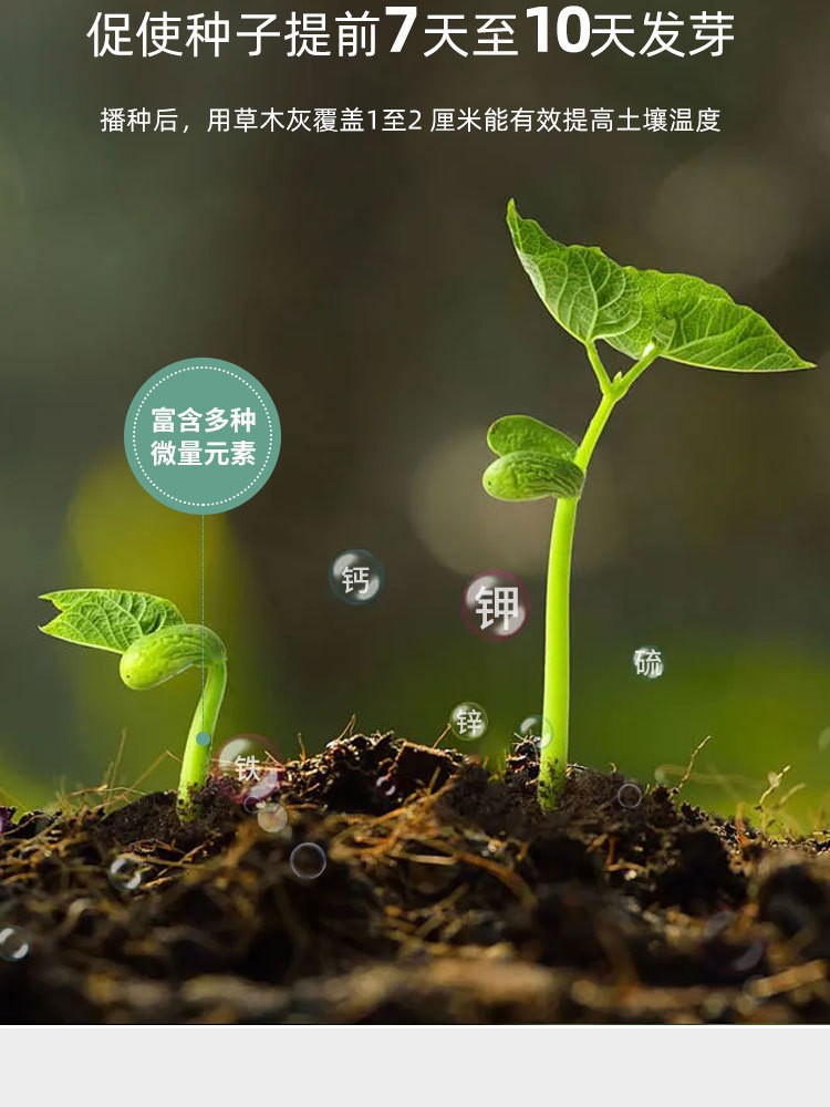 O1CN012eiD3U1wVPH6rMh0C_!!2217