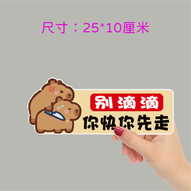 인턴쉽 초보자 자동차 스티커 CAPYBARA KAPIBALA 여성 운전자는 내 자기 반사를 만들어 주셔서 감사합니다