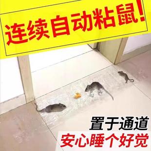 Thickened and Extended Mouse Trap Mat [Cross-Border] Sticky Mouse Mat Strong Adhesive Mouse Trap Mouse Sticker Mouse Trap Mat Sticky Mouse