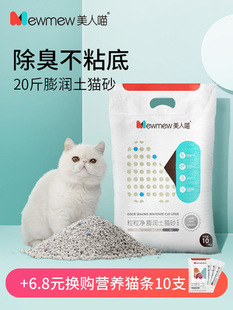 美人貓圖片 海量高清美人貓圖片大全 阿里巴巴