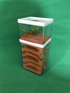 ���p�� ����Λρ Λρ�� Λρ�Ǳ� Λρ���� Λρ�� ρρ�Ǳ���Ѩ