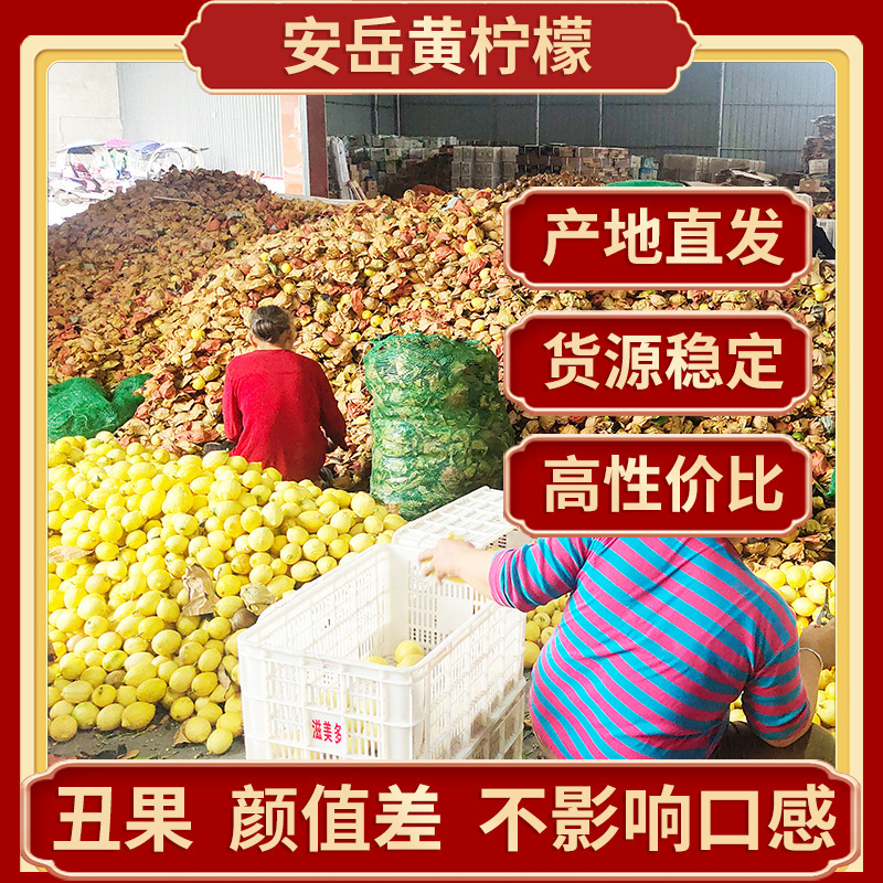 Ugly Fruit Sichuan Anyue Lemon Fresh Fruit Wholesale Seasonal Fresh Fruit Origin Julike Yellow Lemon Dropshipping
