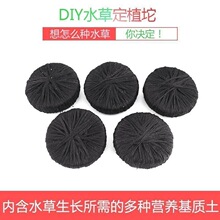 坨草基质 鱼缸造景水草活体坨草 可扦插活体水草新手懒人坨草批发