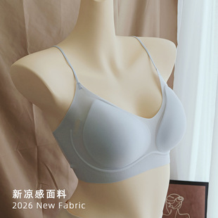 2026�¿�l�y�������ϼ��玧�������ر���ʽ3D�����lܛ֧�΃���Ů