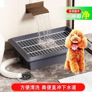 �ż��l���g�o������ʺ����Č����RͰͨ��ˮ��С��Ȯ�����ű����