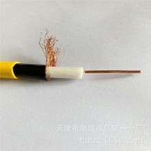 �V��й¶ͬ�S��|MSLYFVZ50-9ú���V����|