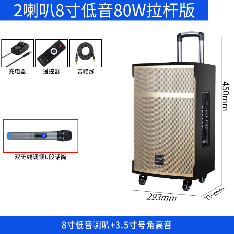 Altavoz Bluetooth Xiaxin potente para karaoke y eventos