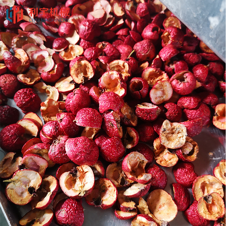 山楂真空冻干机   海参大虾低温干燥机  珍珠粉冻干设备