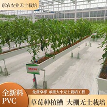 ���ڴ����ݮ���w�Nֲ��pvcA�ּ����w�Nֲ�ܟo�������߲˷Nֲ�O��